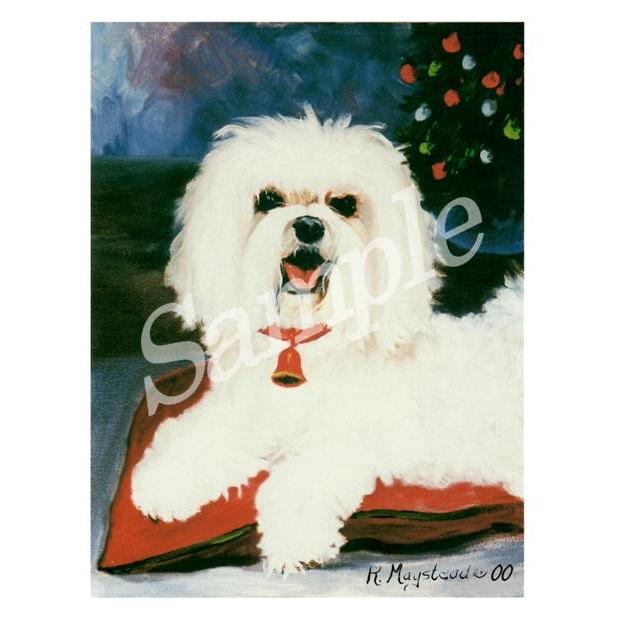 クリスマスカード Ruth マルチーズ ショートヘアー 輸入雑貨 犬雑貨 犬グッズ Ruth Mal 12x 犬雑貨専門店 銀屋 通販 Yahoo ショッピング