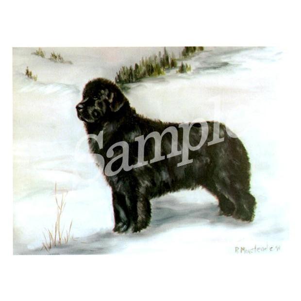グリーティングカード Ruth　ニューファンドランド　Black in Snow　輸入雑貨　犬雑貨　犬グッズ :ruth-new-6:犬雑貨専門店  銀屋 - 通販 - Yahoo!ショッピング