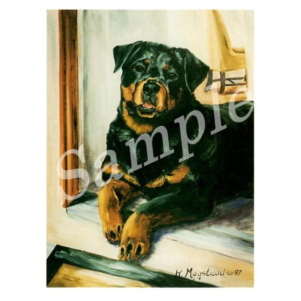 グリーティングカード Ruth ロットワイラー Sitting 輸入雑貨 犬雑貨 犬グッズ Ruth Rot 11 犬雑貨専門店 銀屋 通販 Yahoo ショッピング