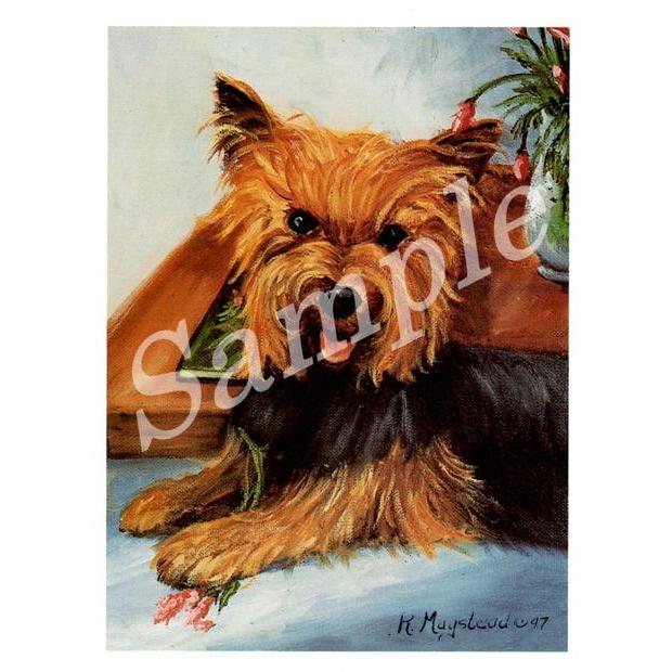 超話題新作 ヨークシャテリア ハンドタオル Shipsctc Org