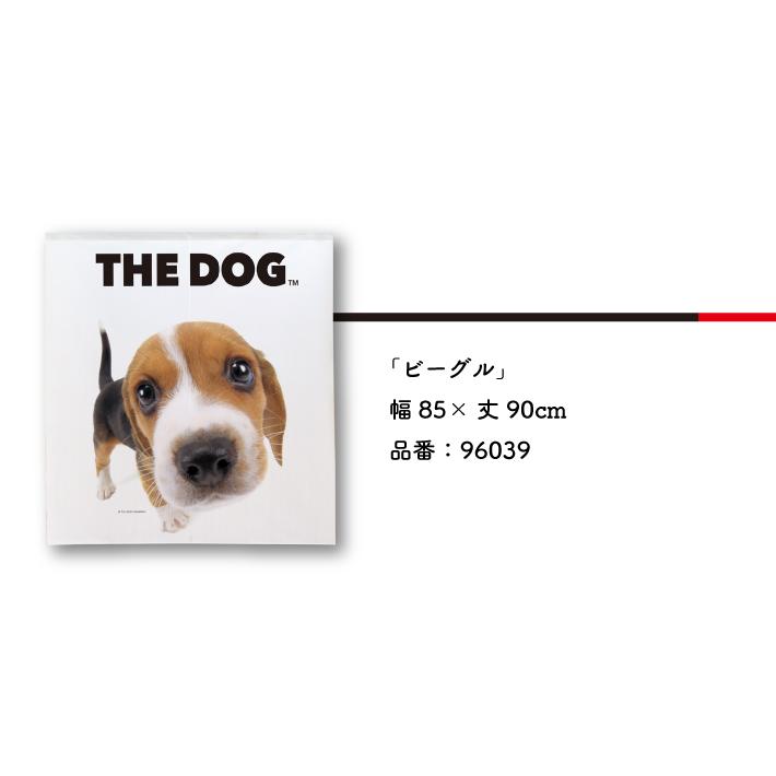 暖簾【のれん】　THE DOG ビーグル 幅85×丈90cm　犬雑貨・犬グッズ｜ginya｜04