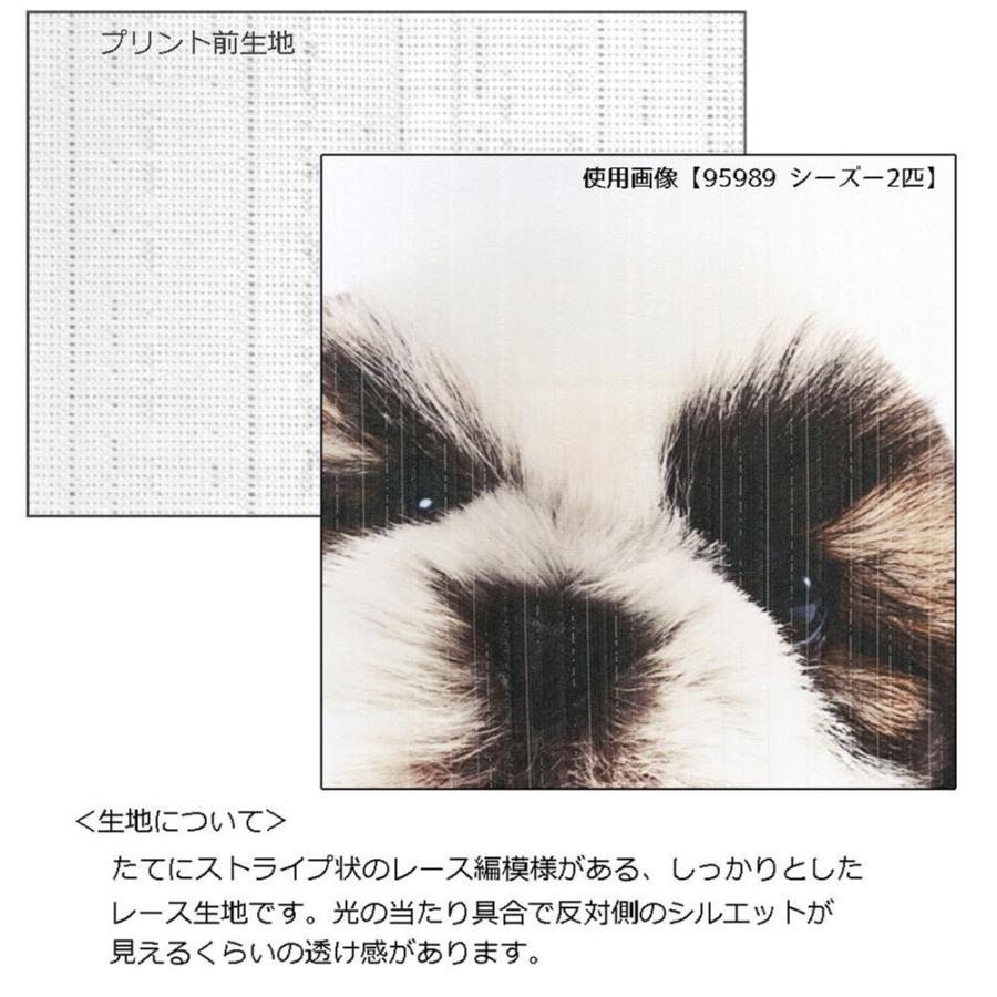 暖簾【のれん】 THE DOG ゴールデン・レトリバー 幅85×丈90cm 犬雑貨