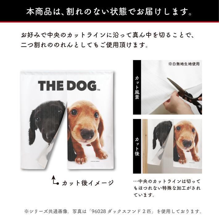 暖簾【のれん】 THE DOG ゴールデン・レトリバー 幅85×丈90cm 犬雑貨