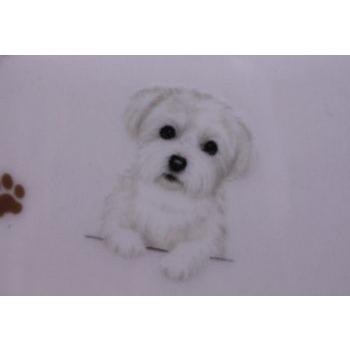 わんコレ ペットフードボール マルチーズ Wa Fb25 犬雑貨専門店 銀屋 通販 Yahoo ショッピング