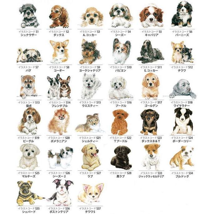お取り寄せ商品 選べるイラスト33種類 わんコレ ガラスタンブラー 犬雑貨 犬グッズ Wa Gt 犬雑貨専門店 銀屋 通販 Yahoo ショッピング