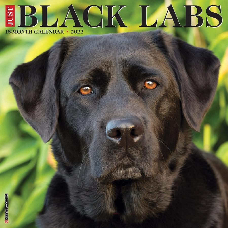 在庫限り 22年 ドッグブリードカレンダー 壁掛け ラブラドール レトリーバー ブラック 黒ラブ Willowjustblacklabs 犬雑貨専門店 銀屋 通販 Yahoo ショッピング