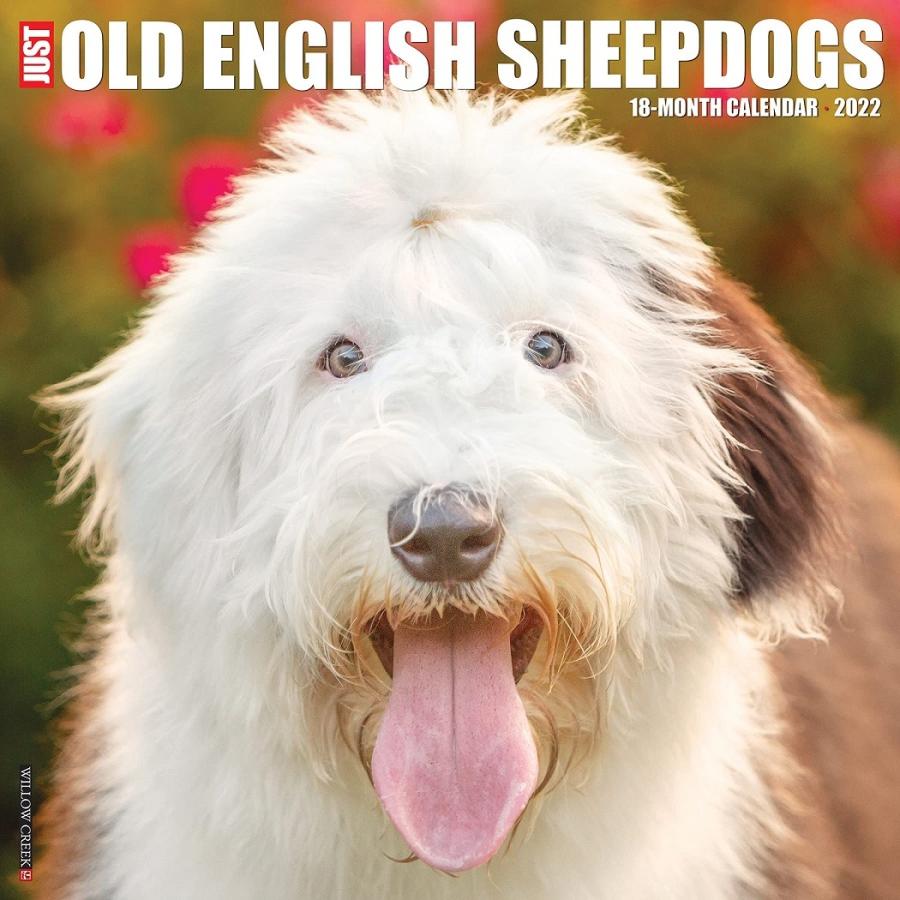 在庫限り 22年 ドッグブリードカレンダー 壁掛け オールド イングリッシュ シープドッグ Willowoldenglishsheepdogs 犬雑貨専門店 銀屋 通販 Yahoo ショッピング