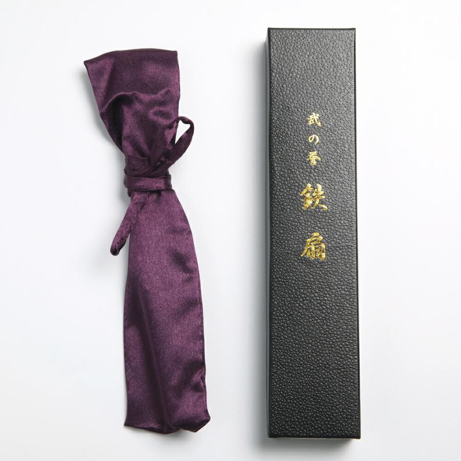 扇子 鉄扇8寸 尾形刀剣 TS-B 鉄の扇子 黒 袋付き 箱入り 京都 扇子 鉄扇8寸 尾形刀剣 TS-B 鉄の扇子 黒 袋付き 箱入り 京都