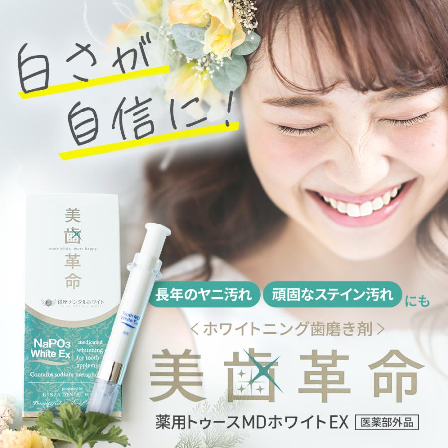 美歯革命 薬用 ホワイトニング 歯磨き粉 ホームホワイトニング 歯 歯を