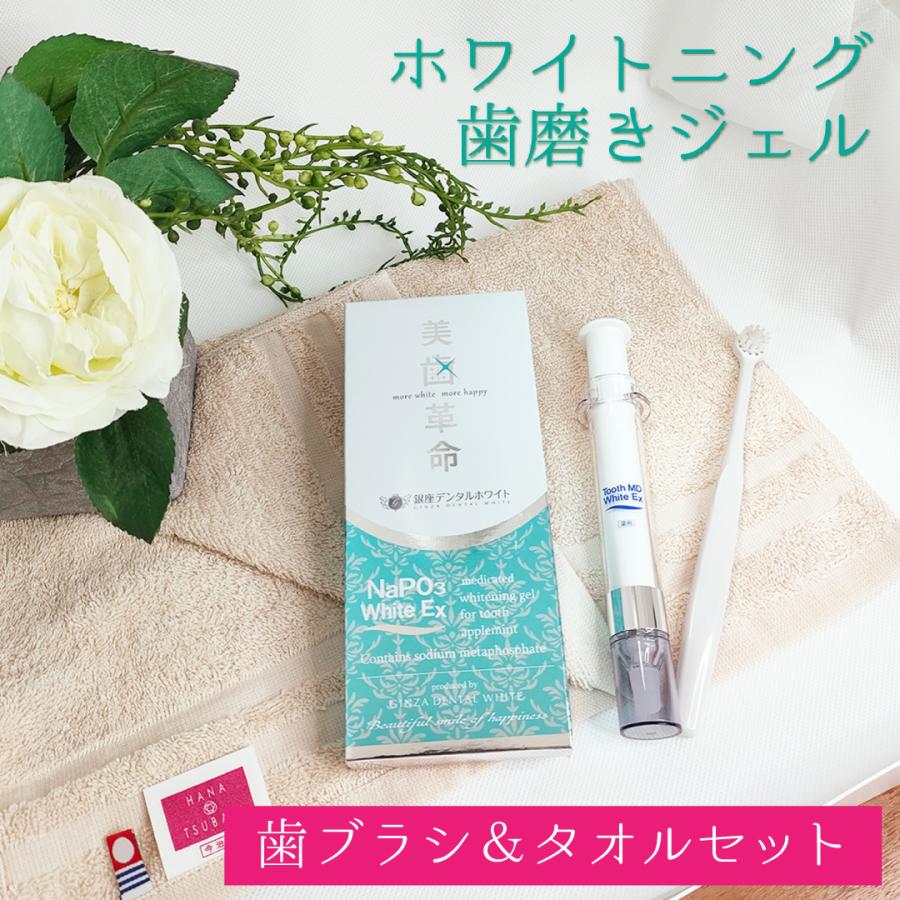 ホワイトニング 歯磨き粉 ハミガキセット トゥース 美歯革命 セルフ tee ホワイトニングセット本体液1箱3本充電器