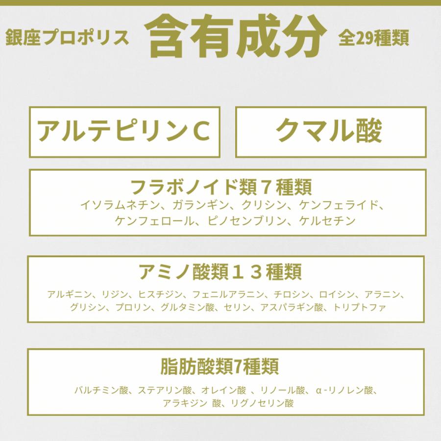 銀座プロポリス 2個セット 半年分 ブラジル産グリーンプロポリス