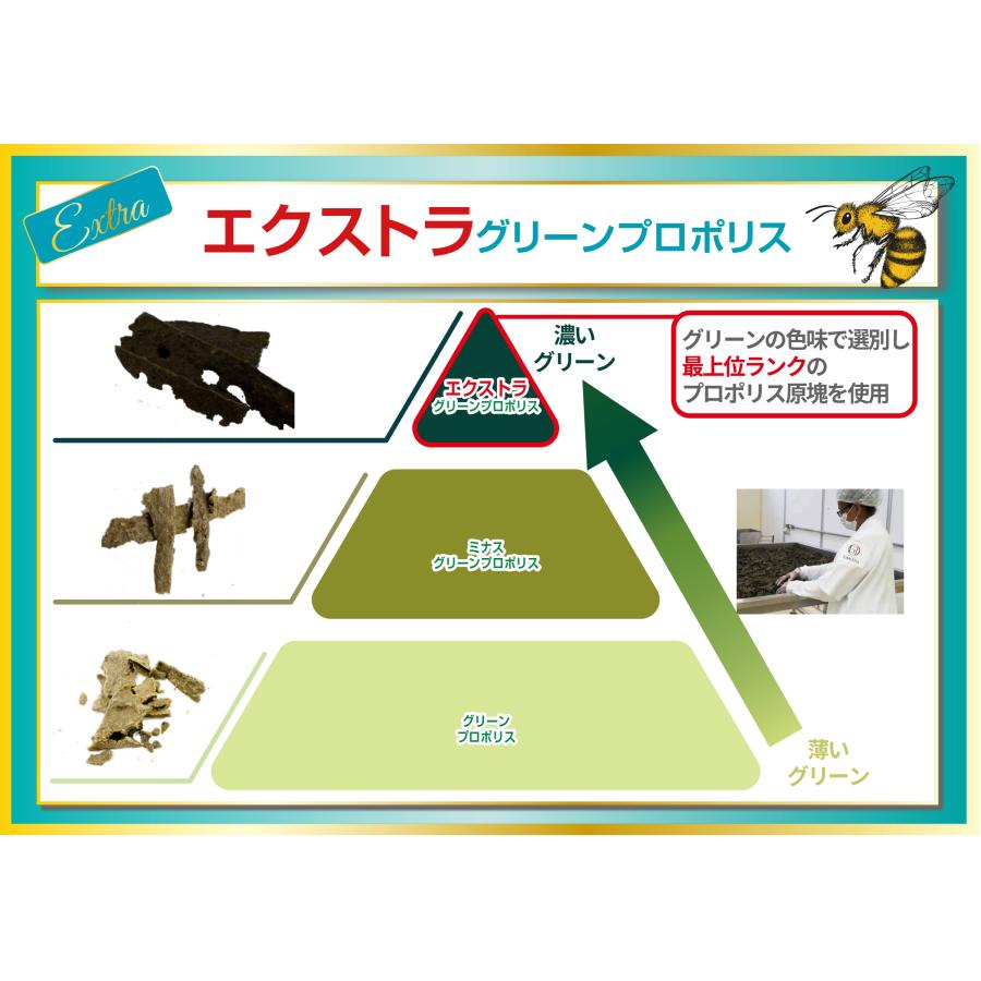 銀座プロポリス 2個セット ブラジル産グリーンプロポリス 180粒 