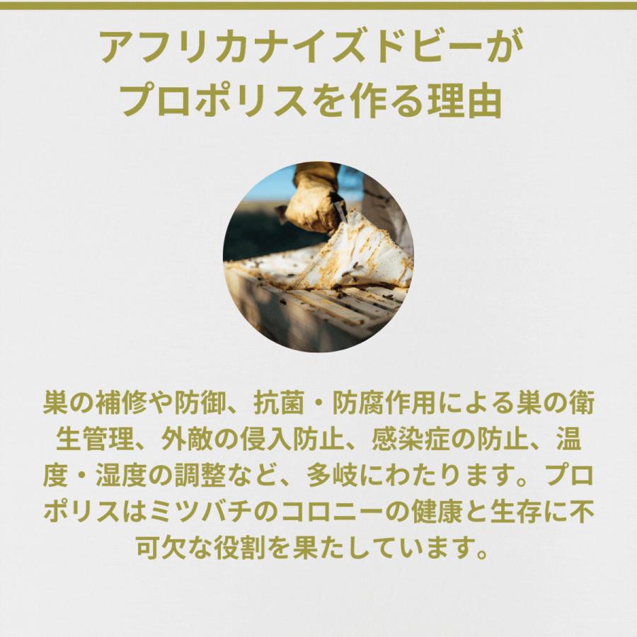 銀座プロポリス 2個セット 半年分 ブラジル産グリーンプロポリス