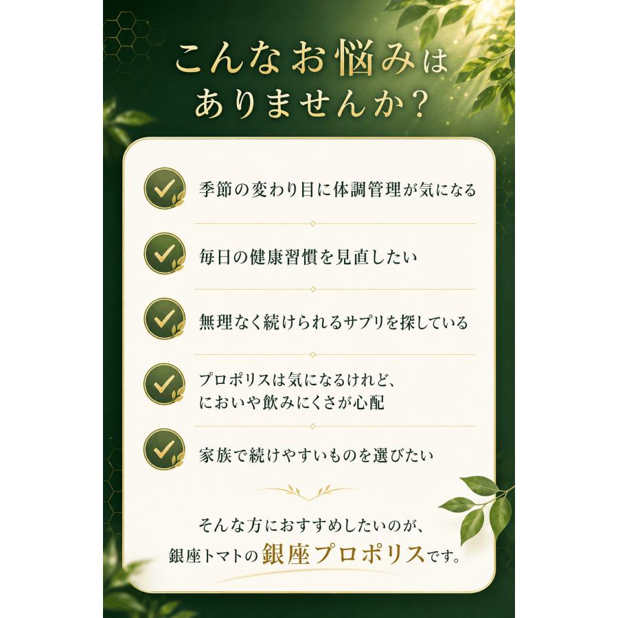 訳あり 賞味期限間近27年3月】銀座プロポリス 90日分 ブラジル産