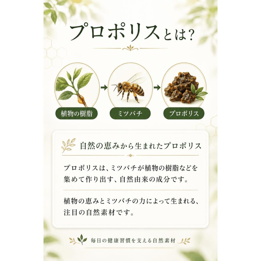 訳あり 賞味期限間近27年3月】銀座プロポリス 90日分 ブラジル産