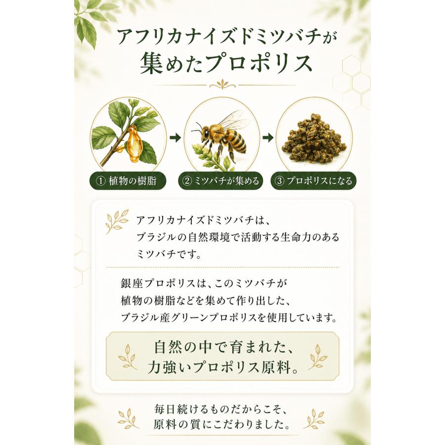 訳あり 賞味期限間近27年3月】銀座プロポリス 90日分 ブラジル産