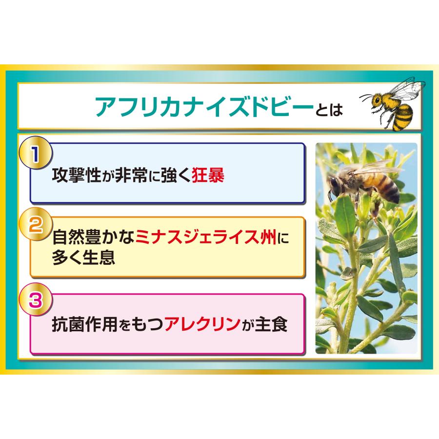新商品 銀座プロポリス ブラジル産グリーンプロポリス 180粒 