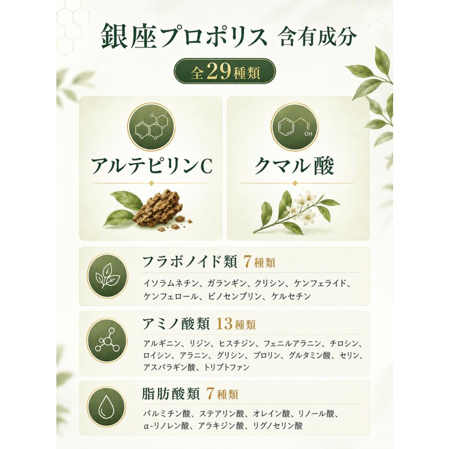 訳あり 賞味期限間近27年3月】銀座プロポリス 90日分 ブラジル産