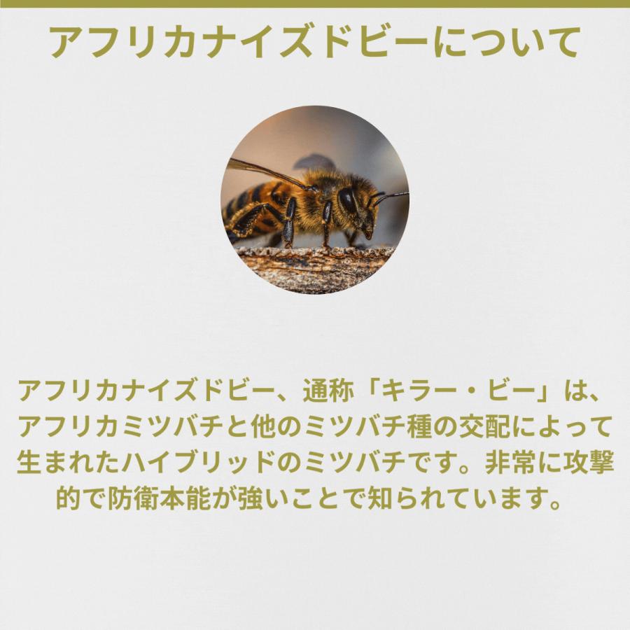 銀座プロポリス 90日分 ブラジル産グリーンプロポリス 180粒 健康 健康 