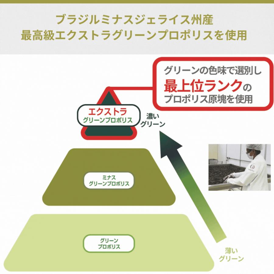 銀座プロポリス 90日分 ブラジル産グリーンプロポリス 180粒 健康 健康 