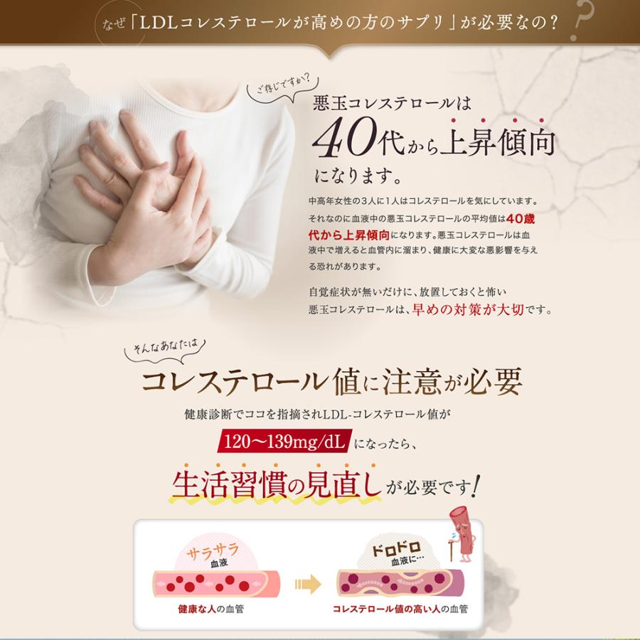 3袋セット 悪玉コレステロール 総コレステロール 機能性表示食品 