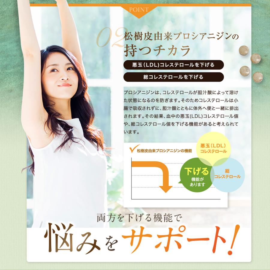3袋セット 悪玉コレステロール 総コレステロール 機能性表示食品 