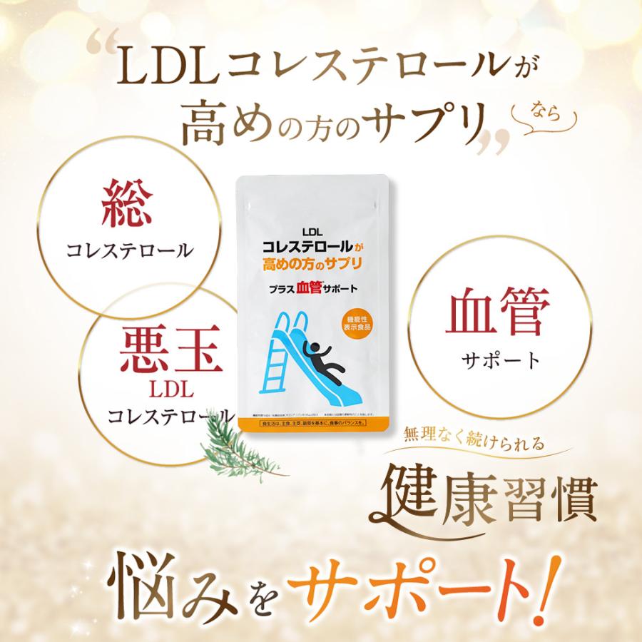 新商品 機能性表示食品 松樹皮由来 プロシアニジン 悪玉コレステロール
