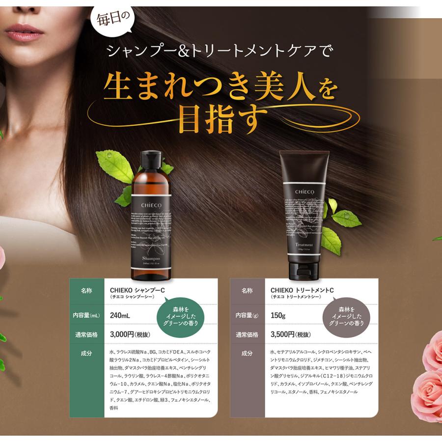 ジュラシックフローラ配合 / CHIECO トリートメントC