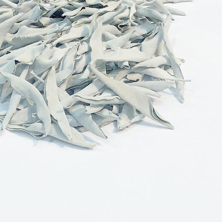 完売 ホワイトセージ 10g 高品質 リーフ 1個 送料無料 アメリカ カリフォルニア産 無農薬 ナチュラル 癒しの香り 浄化