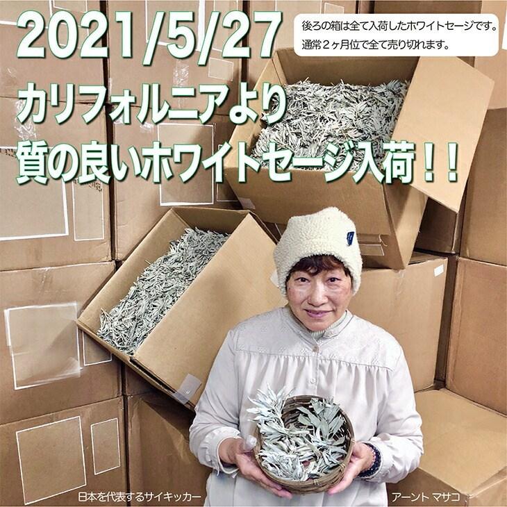 ホワイトセージ 1kg クラスター 業務用 1個 送料無料 浄化 アメリカ