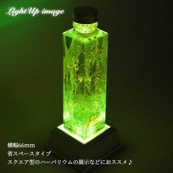 ライトステージ NKLS-15SL ハーバリウムライト ディスプレイライト LED