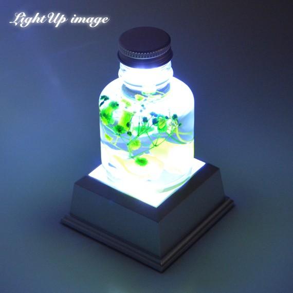 ライトステージ NKLS-15SL ハーバリウムライト ディスプレイライト LED