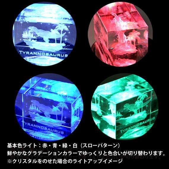 ライトステージ (ポスト投函/送料無料) NKLS-3SL+AL-052UK AC