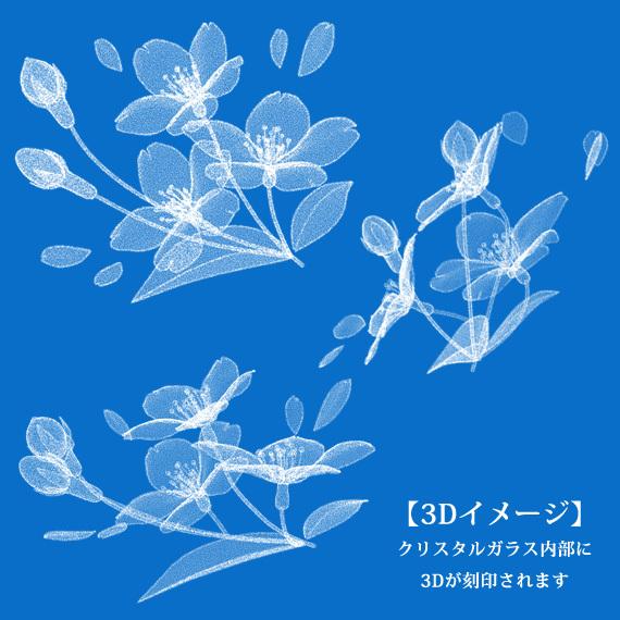 3Dさくら 周年記念 名入れ 卒業 創立 記念品 メッセージ刻印 桜 花