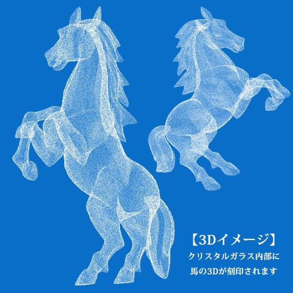 競馬 乗馬 記念品 卒業記念 大会 表彰 名入れ メッセージ刻印 3D馬