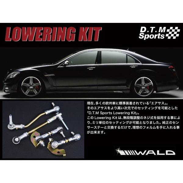 WALD（ヴァルド） D.T.M Sports ロワリングキット メルセデスベンツ Sクラス（W221） S550/S500/S350