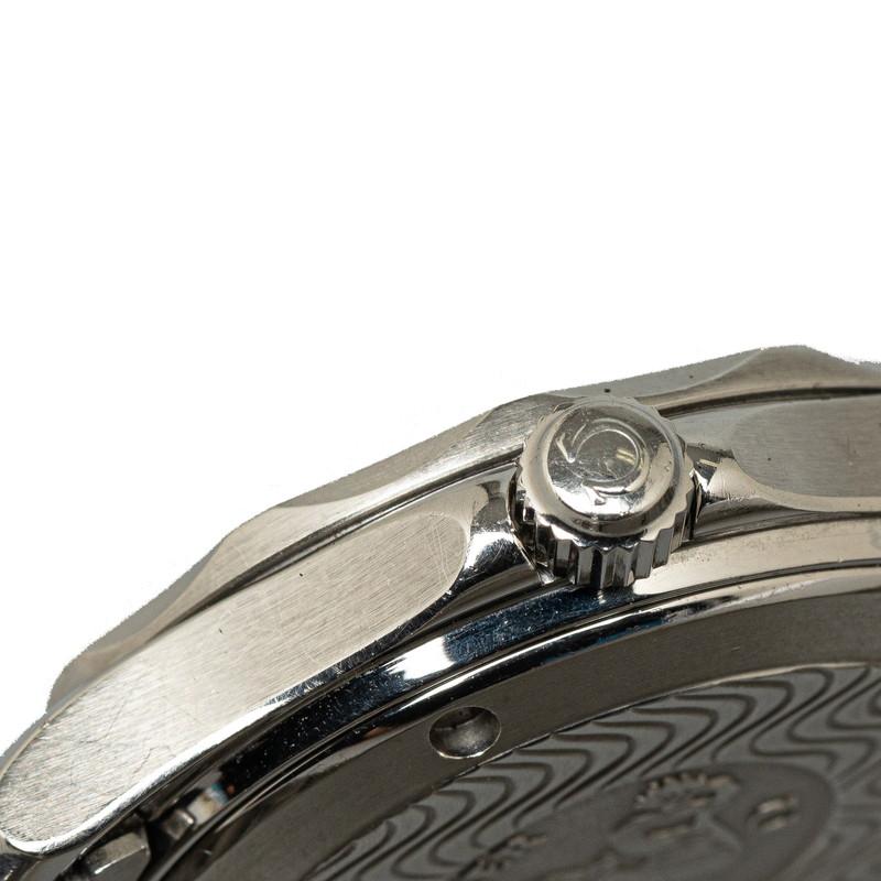 OMEGA オメガ シーマスター300 プロフェッショナル 腕時計 OMEGA オメガ シーマスター300 プロフェッショナル 腕時計