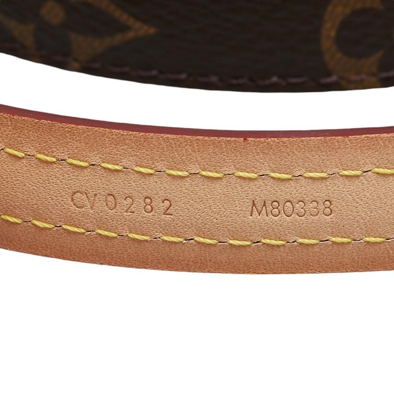 LOUIS VUITTON ルイ ヴィトン モノグラム ドッグ リーシュ ペット 犬