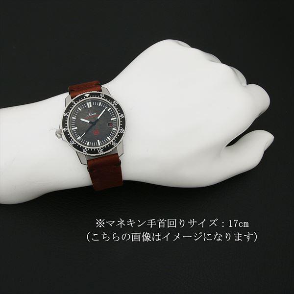 Sinn（ジン） EZM3.F.V 日本限定100本 EZM3.F.V 中古 メンズ 腕時計