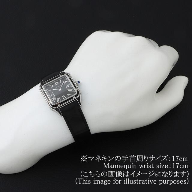 Cartier カルティエ サントス デュモンLM WSSA0046 中古 メンズ