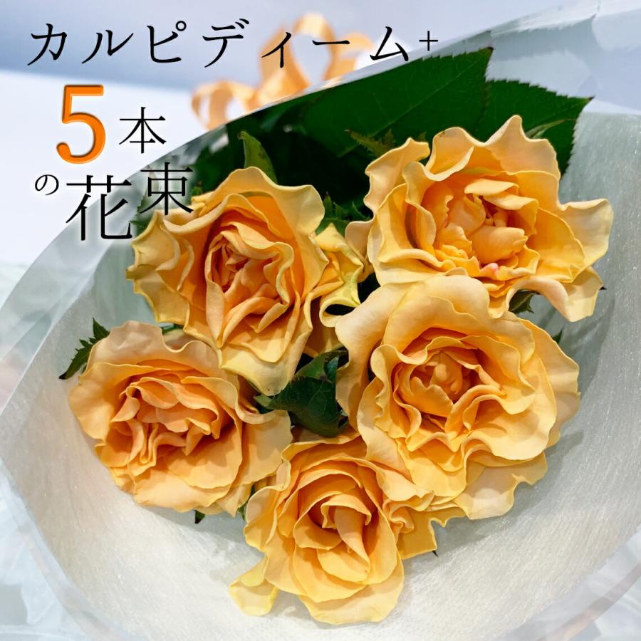 オレンジ バラ 5本の花束 カルピディーム+ 送料無料 ギフト 記念日