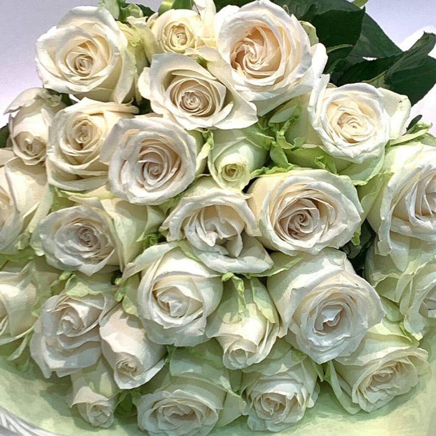 白バラ99本の花束 東京銀座クオリティー プレゼント お祝い 記念日