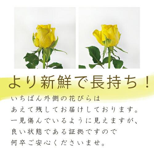 黄色バラ60本の花束 送料込 プレゼント お祝い 記念日 ギフト 税込 還暦 プロポーズ 誕生日 卒業 退職 生花 バラ 花束_5