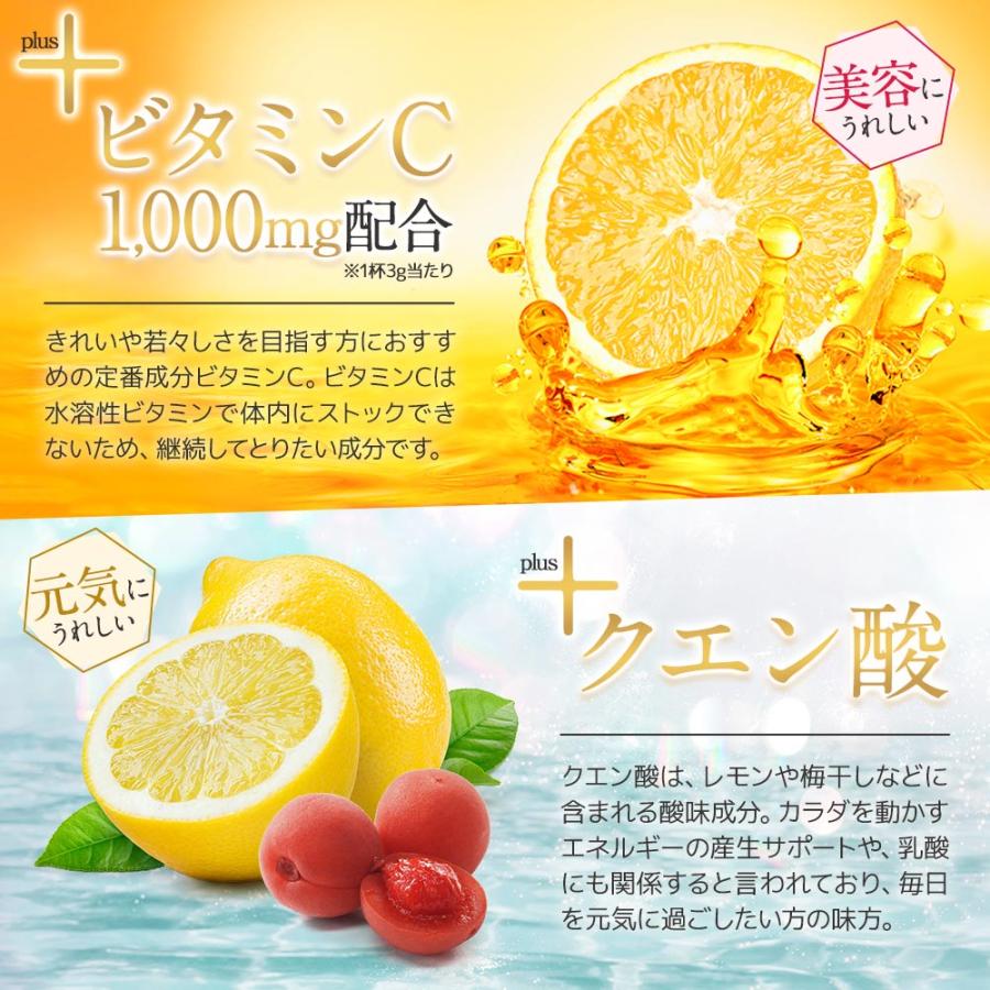 ENZYME FLORA ダイエットドリンク 30包入り ENZYME FLORA ダイエットドリンク 30包入り