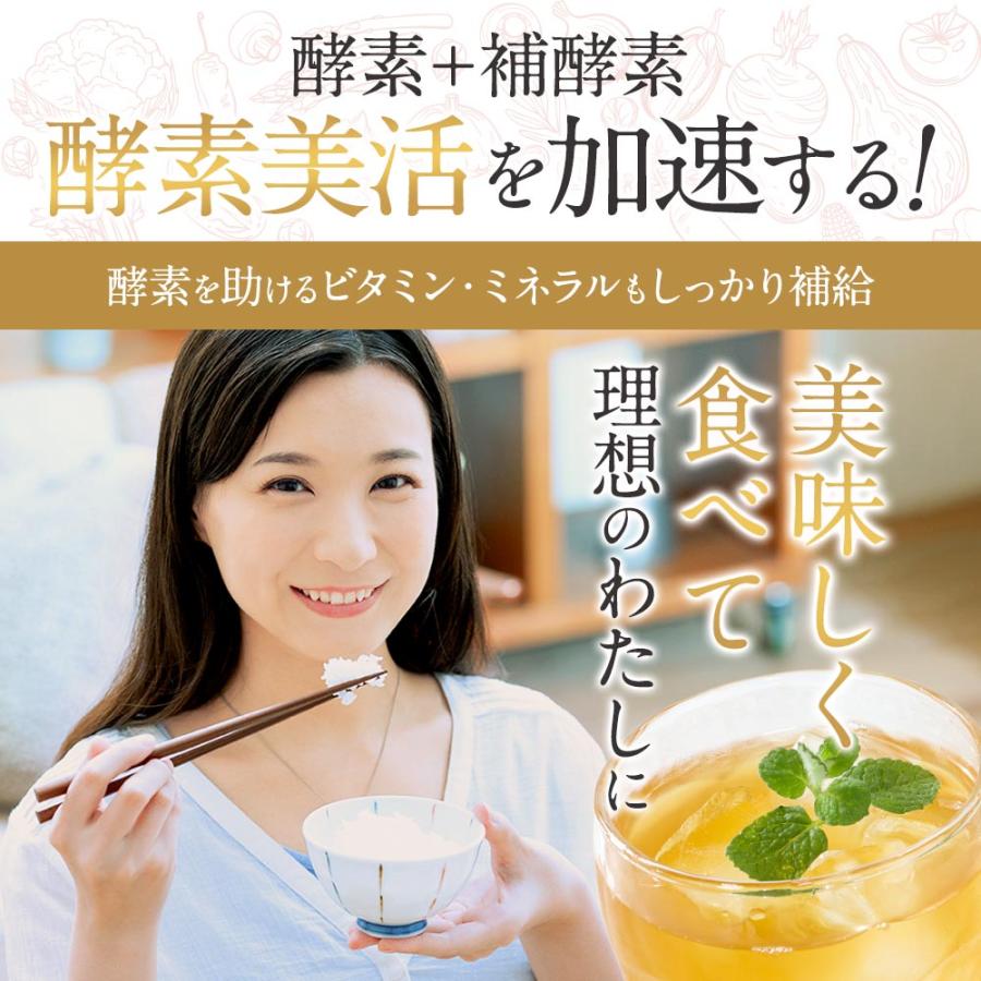 ENZYME FLORA ダイエットドリンク 30包入り ENZYME FLORA ダイエットドリンク 30包入り