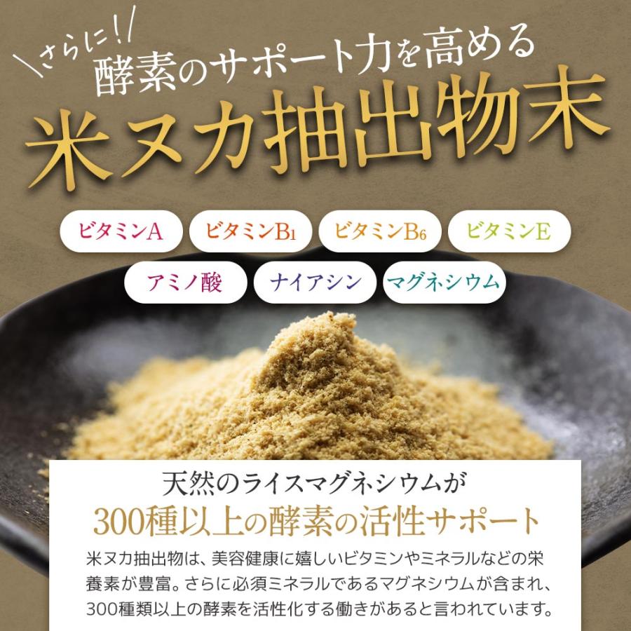 ENZYME FLORA ダイエットドリンク 30包入り さらさら酵素ドリンク 30包 粉末タイプ ファスティング