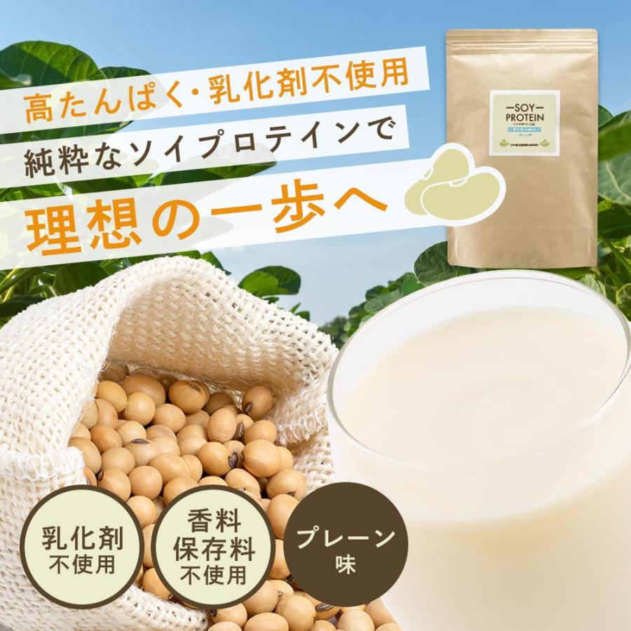セール ソイプロテイン 400g 乳化剤無添加 大豆 植物性 人工甘味料不