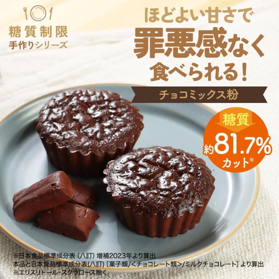 チョコ 手作りミックス粉 150g 低糖質 糖質オフ ココアパウダー