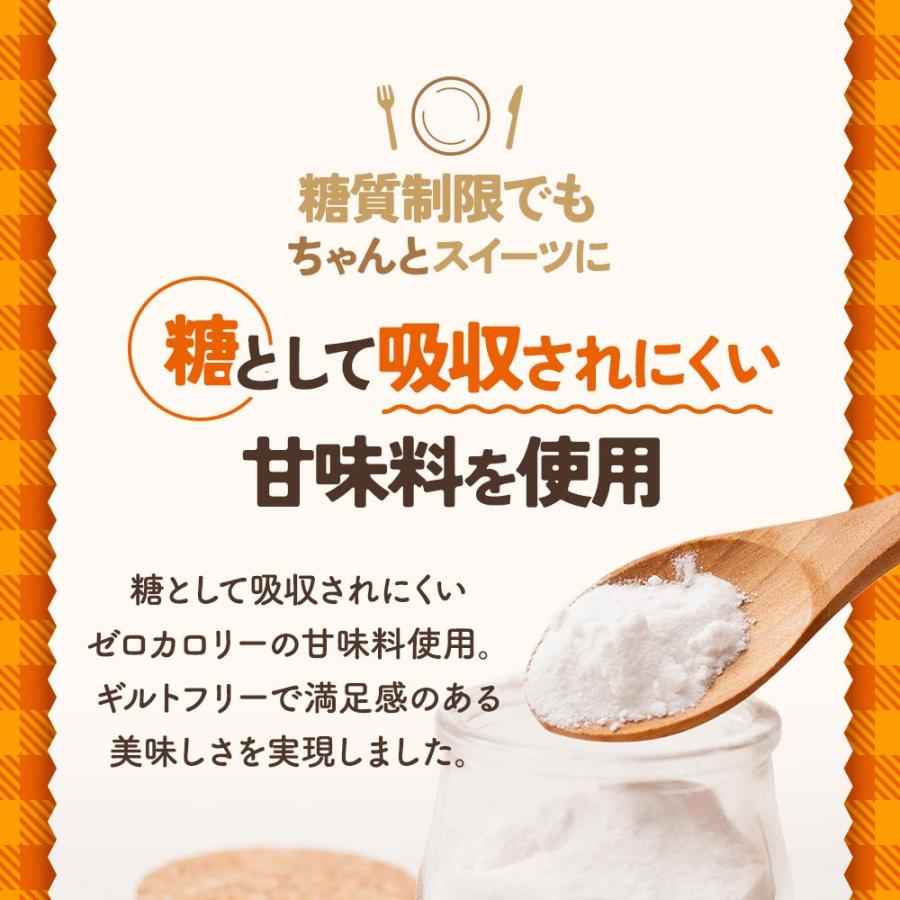 チョコ 手作りミックス粉 150g 低糖質 糖質オフ ココアパウダー