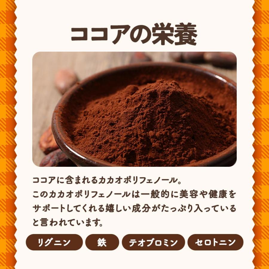 チョコ 手作りミックス粉 150g 低糖質 糖質オフ ココアパウダー